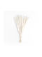 Dried Plant Pampas Grass Beige 50cm GloboStar