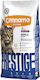 Cennamo Prestige Katze sterilisiert Hering 1,5 kg