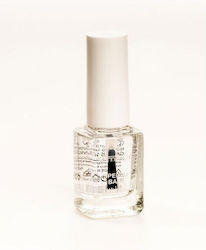 TommyG Base Coat