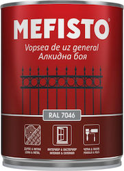 Metall Holzfarbe Mefisto Ral 6032 Grün 650ml Satin Finish Dekorative Schutz Metall Holz Oberflächen Außen Innenräume Metall Holzfarbe Mefisto Ral 6032 Grün 650ml Satin Finish Dekorative Schutz Metall Holz Oberflächen Außen Innenräume