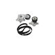 Transmission Belt Set Peugeot 208 Dayco Kpv178