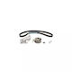 Vw New Beetle 9c1 1c1 Dayco Ktb487 Verteilungskit