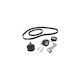 Vw New Beetle Cabriolet 1y7 Dayco Ktb338 Verteilungskit