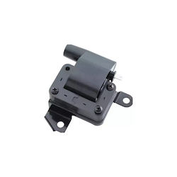 Hyundai H-1 Induction Coil Beru Zs261 Body