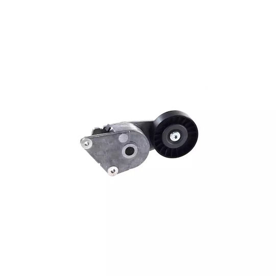 Citroen Zx Break N2 Dayco Apv1001 Belt Tensioner