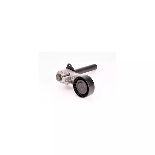 Keilrippenriemenspanner Bmw X5 E70 Dayco Apv3032