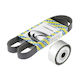 Set curea de transmisie Citroen C4 Grand Picasso I Ua Dayco Kpv229