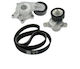 Set Belt Drive Citroen C4 Cactus Dayco Kpv268