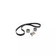 Mazda 3 Bk Dayco Ktb763 Distribution Kit