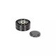 Guide Roller Vw Touareg 7la 7l6 7l7 Dayco Apv2748