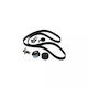 Kit distribuție curea Skoda Superb 3u4 Dayco Ktb454