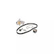 Water Pump Set + Timing Belt Volvo S80 Ii As Dayco Ktbwp9480
