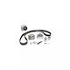Wasserpumpensatz + Zahnriemensatz Seat Cordoba Vario 6k5 Dayco Ktbwp4290