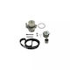 Water Pump + Timing Belt Set Audi A2 8z0 Dayco Ktbwp2964