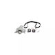 Water Pump Set + Timing Belt Peugeot Expert Body 222 Dayco Ktbwp3442