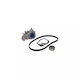 Water Pump Set + Timing Belt Dacia Solenza Dayco Ktbwp2590