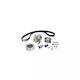 Water Pump Set + Timing Belt Seat Cordoba 6l2 Dayco Ktbwp4291