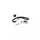 Set pompă de apă + curea de distribuție Seat Toledo II 1M2 Dayco Ktbwp3423