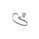 Water Pump Set + Timing Belt Opel Omega B 25 26 27 Dayco Ktbwp2540