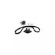 Water Pump + Timing Belt Kit Renault Sc�nic Iii Jz0 1 Dayco Ktbwp7830
