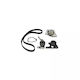 Wasserpumpen-Set + Zahnriemen Citroen Zx Break N2 Dayco Ktbwp1151