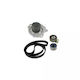 Set pompa de apă + curea de distribuție Fiat Marea 185 Dayco Ktbwp3180