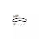 Water Pump Set + Timing Belt Dacia Logan Mcv Ii Dayco Ktbwp3211