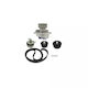 Water Pump Set + Timing Belt Opel Vectra C Gts Dayco Ktbwp3610