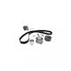 Water Pump Set + Timing Belt Skoda Superb Combi 3t5 Dayco Ktbwp4860