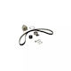 Water Pump Set + Timing Belt Fiat 500x 334 Dayco Ktbwp7590