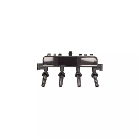Induction Coil Citroen Xsara N1 Beru Zs381