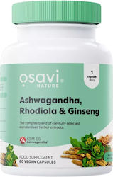Osavi Rhodiola & Ginseng 60 κάψουλες Osavi Rhodiola & Ginseng 60 κάψουλες
