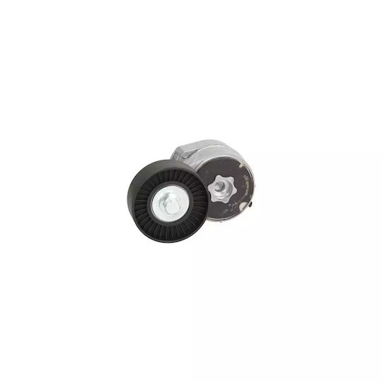 Keilrippenriemenspanner Ford Transit Tourneo Dayco Apv2497