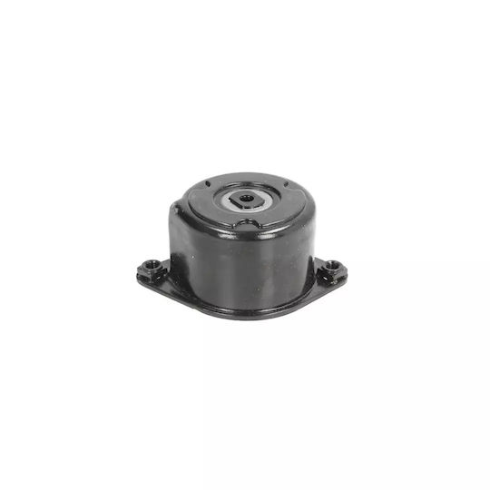 Bmw 5 E60 Dayco Apv2536 Belt Tensioner
