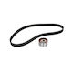 Fiat Panda 169 Dayco Ktb513 Distribution Kit