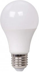 LED Bulbs for Socket E27 Cool White 1pcs