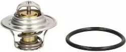 Termostat de lichid de răcire Vw Passat Variant 3b6 Behr Tx1487d