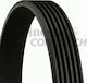 Continental Poly-v Car Engine Belt for Hyundai Elantra 6PK1510