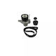 Set Transmission Belt Renault Trafic Ii Chassis Platform El Dayco Kpv217