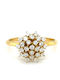 Drandakis Damen Ring mit Zirkonia aus Gold 14K