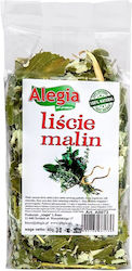 Alegia Изкуствена Трева За Мишка 40гр Alegia Изкуствена Трева За Мишка 40гр