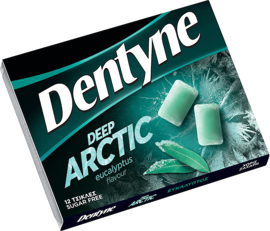 Dentyne 12 Τσίχλες Deep Arctic με Γεύση Eycalyptus Χωρίς Προσθήκη Ζάχαρης 16.8gr