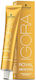 Schwarzkopf Igora Royal Βαφή Μαλλιών 7-60 60ml