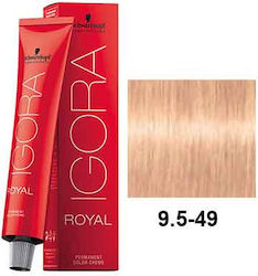 Schwarzkopf Igora Royal Βαφή Μαλλιών 9,5-49 Ξαν...