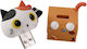 I-Total Cat in Box 32GB USB 2.0 Stick