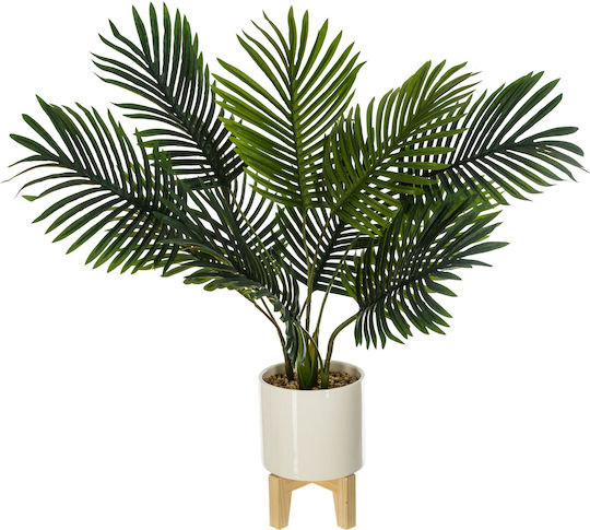 Φοίνικας σε Γλάστρα 72cm