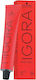 Schwarzkopf Igora Royal Hair Dye 6-4 60ml