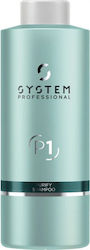 System Professional Derma Purify P1 1000ml