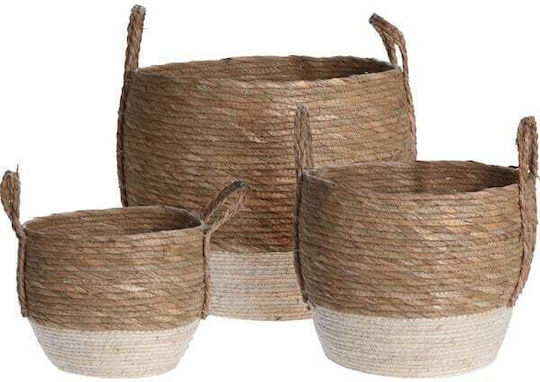 Koopman Decorative Basket Wicker White 34.5x34cm
