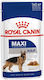 Royal Canin Maxi Wet Dog Food in Cans with Meat...